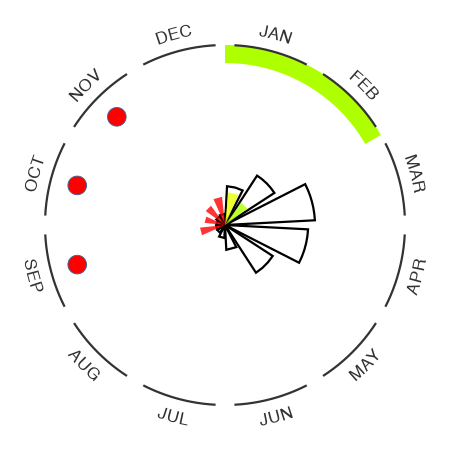 South America summary plot