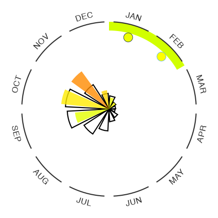 South Asia summary plot